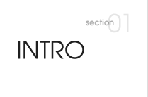 INTRO